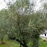 Athina